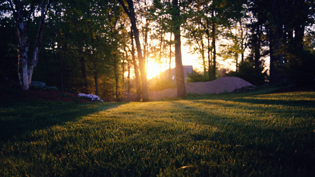 Pro-Cut Lawn Service